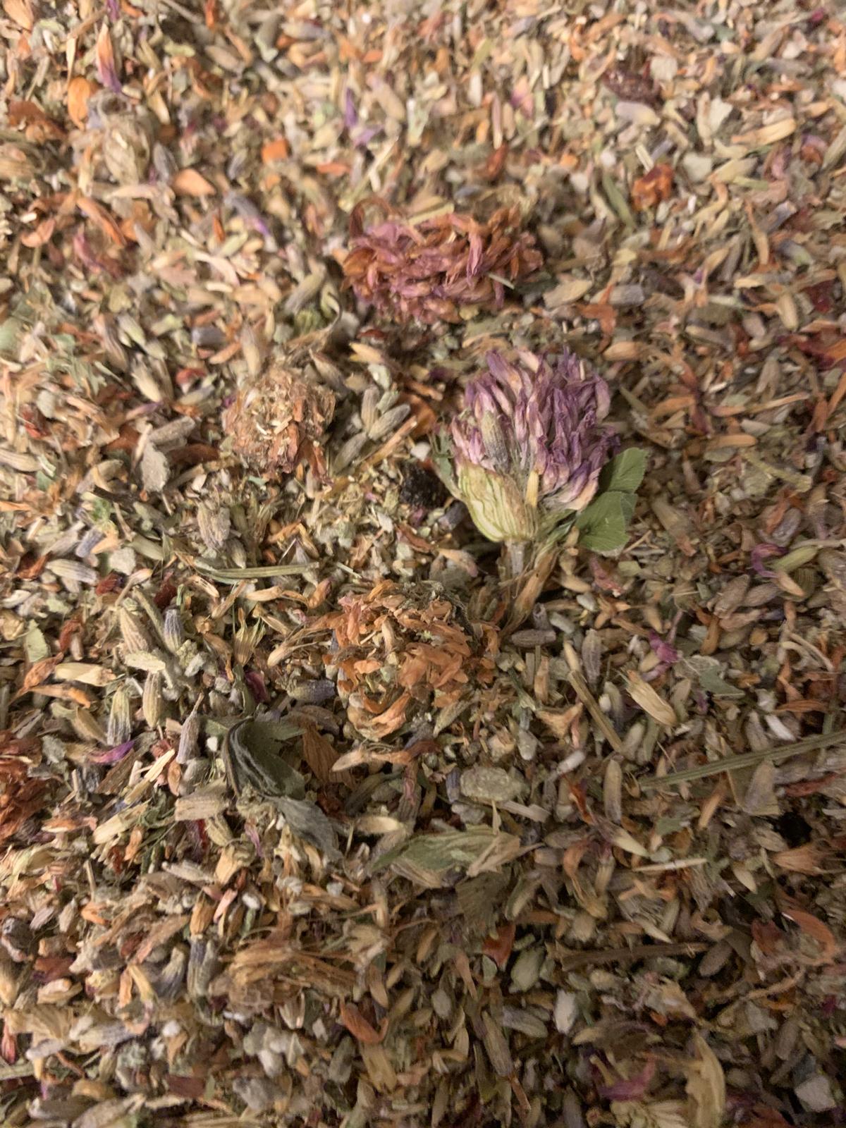 Moon Balance - Just Camellia Signature Tea Blend