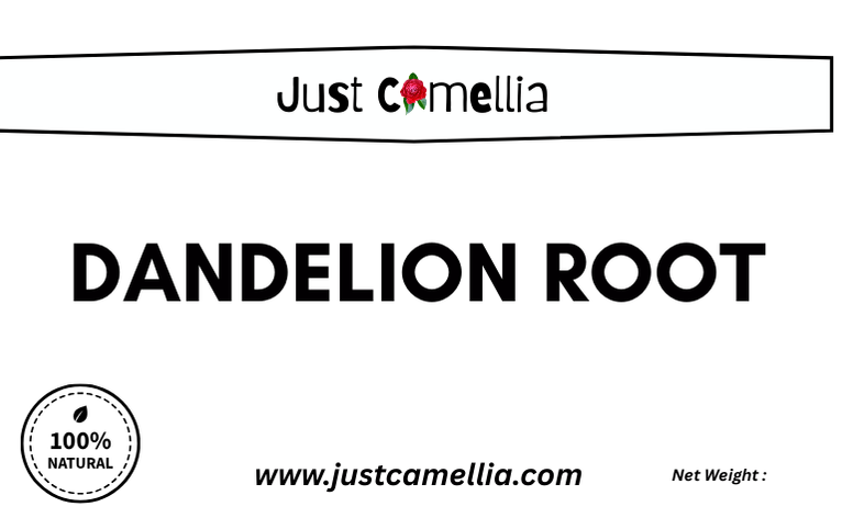 dandelion root cut