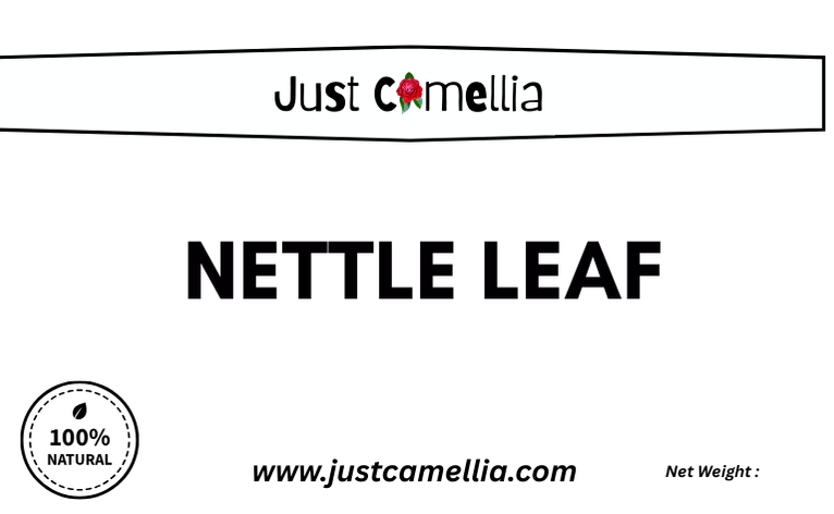 Nettle Leaf