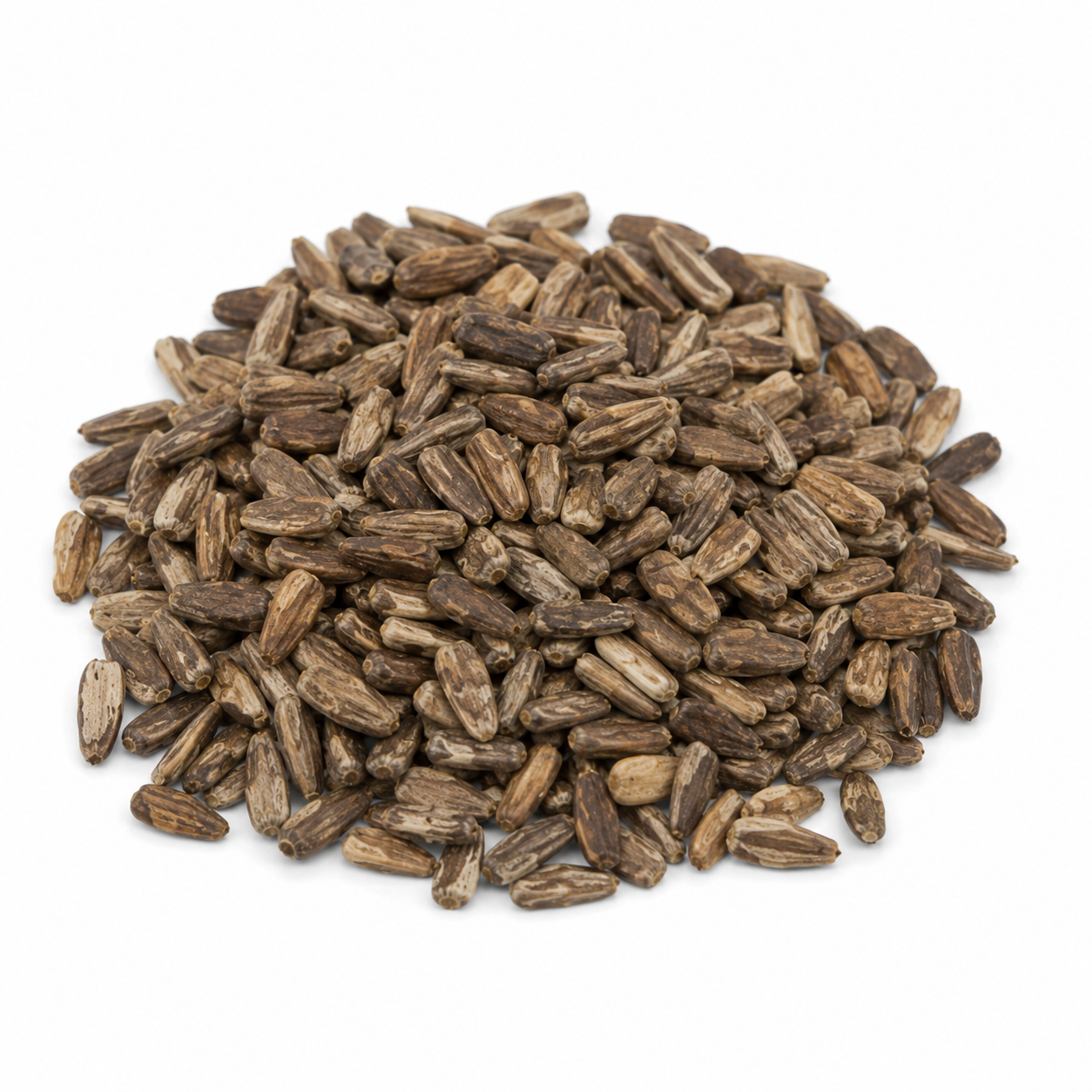 Milk Thistle Seeds - Image 3