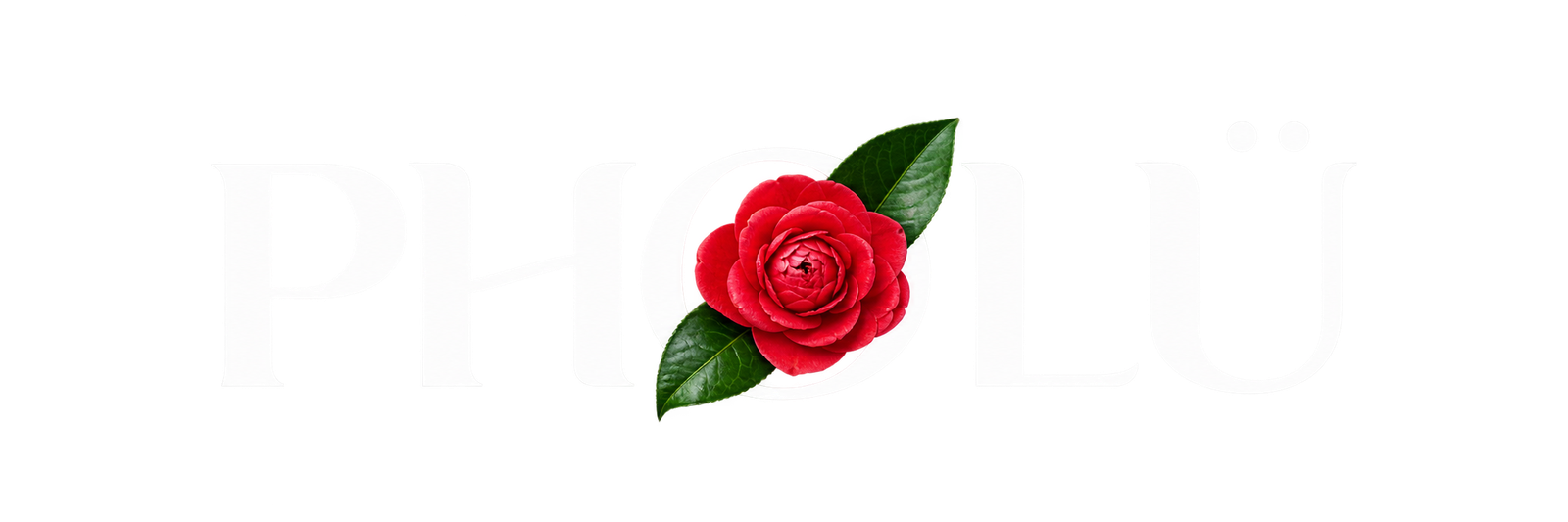 Just Camellia